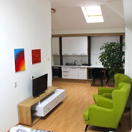 Krasny Priestranny Slnecny Apartman V Centre Mesta Trenčín Εξωτερικό φωτογραφία
