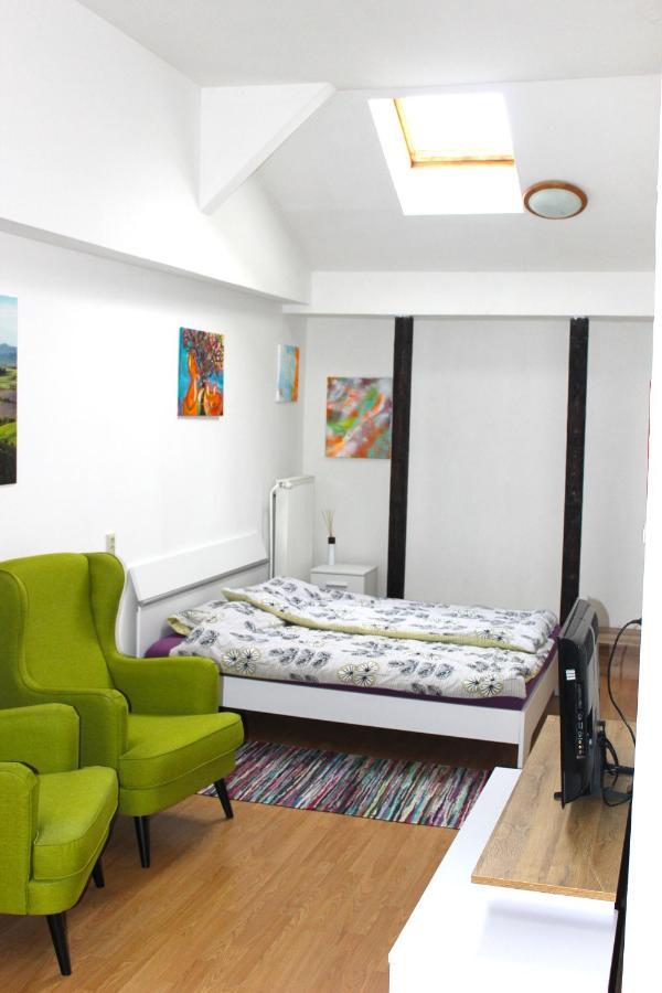 Krasny Priestranny Slnecny Apartman V Centre Mesta Trenčín Εξωτερικό φωτογραφία